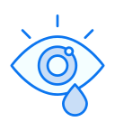 ojo icon