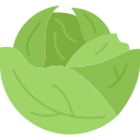 kohl 