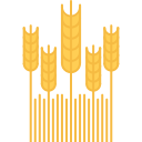 Trigo icon