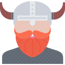 Vikingo icon