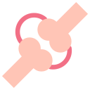 Human 