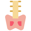Human 