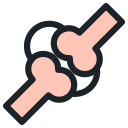 Human 