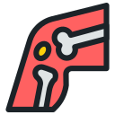 Human 