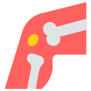 Human 