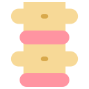 Human 