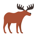 animal icon