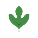 naturaleza icon