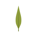 naturaleza icon