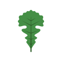 naturaleza icon