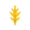 naturaleza icon