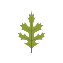 naturaleza icon