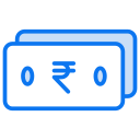 inr icon