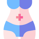 Body 