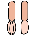 cocinero icon