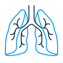 pulmones icon