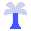 palmera icon