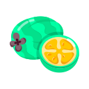 feijoa 
