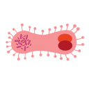 biología 