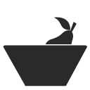 Fruit icon