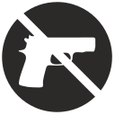 pistola icon