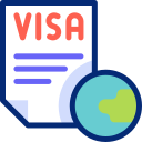 visa icon