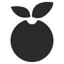 manzana icon