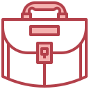 bolsa icon