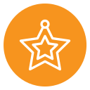 estrella icon