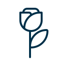 Цветок icon