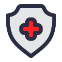 Shield icon