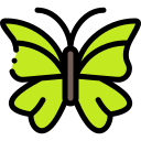 Mariposa icon