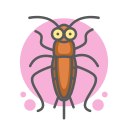 insecto icon