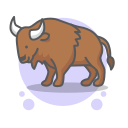 animal icon