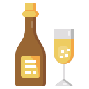 botella icon