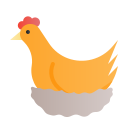 pollo icon