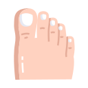 pied 