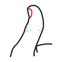 Большой палец 