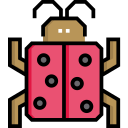 Cucaracha icon