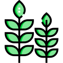 Hierba icon