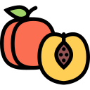 Fruit 