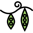 Fruit 