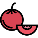 Fruit 