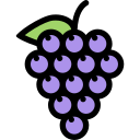 Fruit 