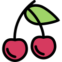 Fruit 