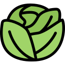 Fruit 