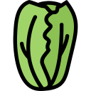 Fruit 