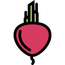 Fruit 