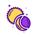 luna icon