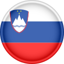 bandera icon